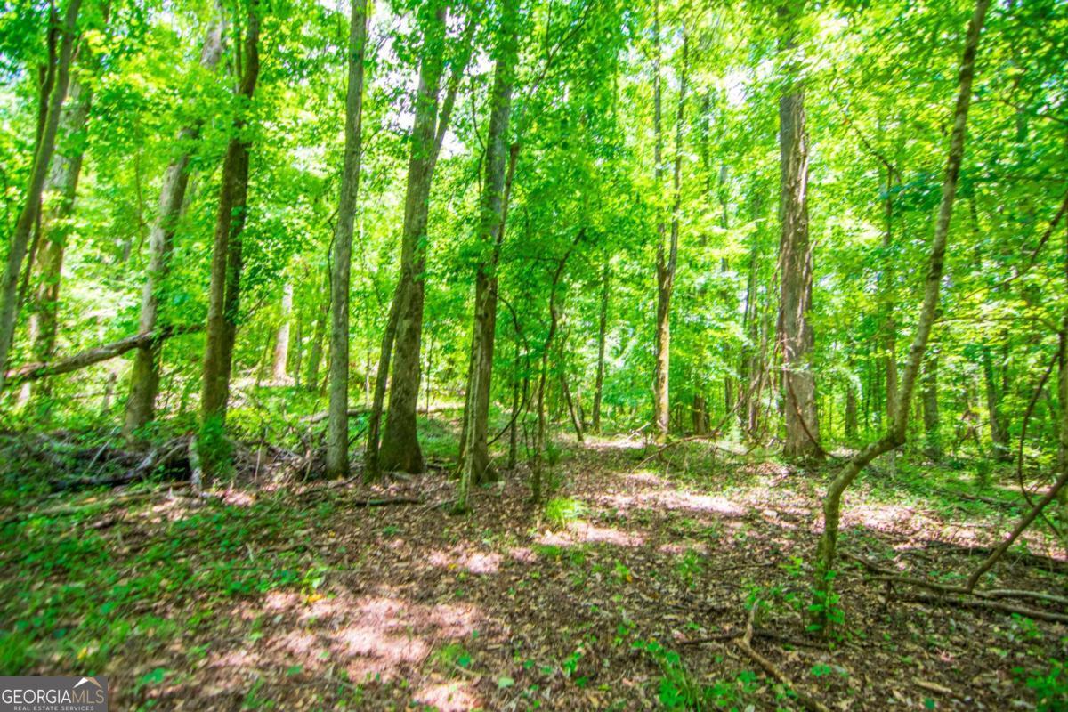 0 White Road Pine Mountain, GA 31822 - Photo 16 of 22 Gallery Image 16