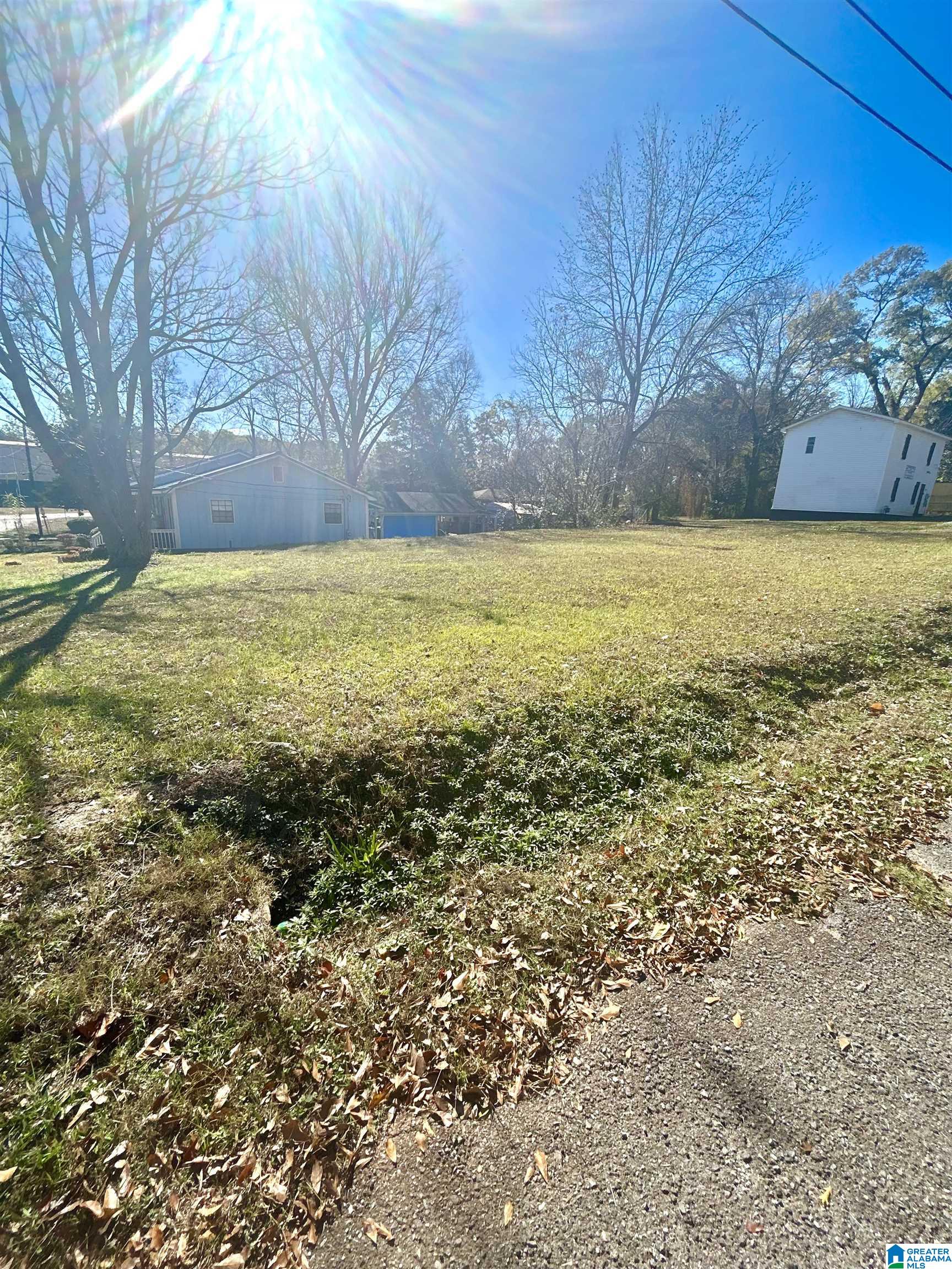 171 Ellis Street, Unit 1 Montevallo, AL 35115 - Photo 2 of 2