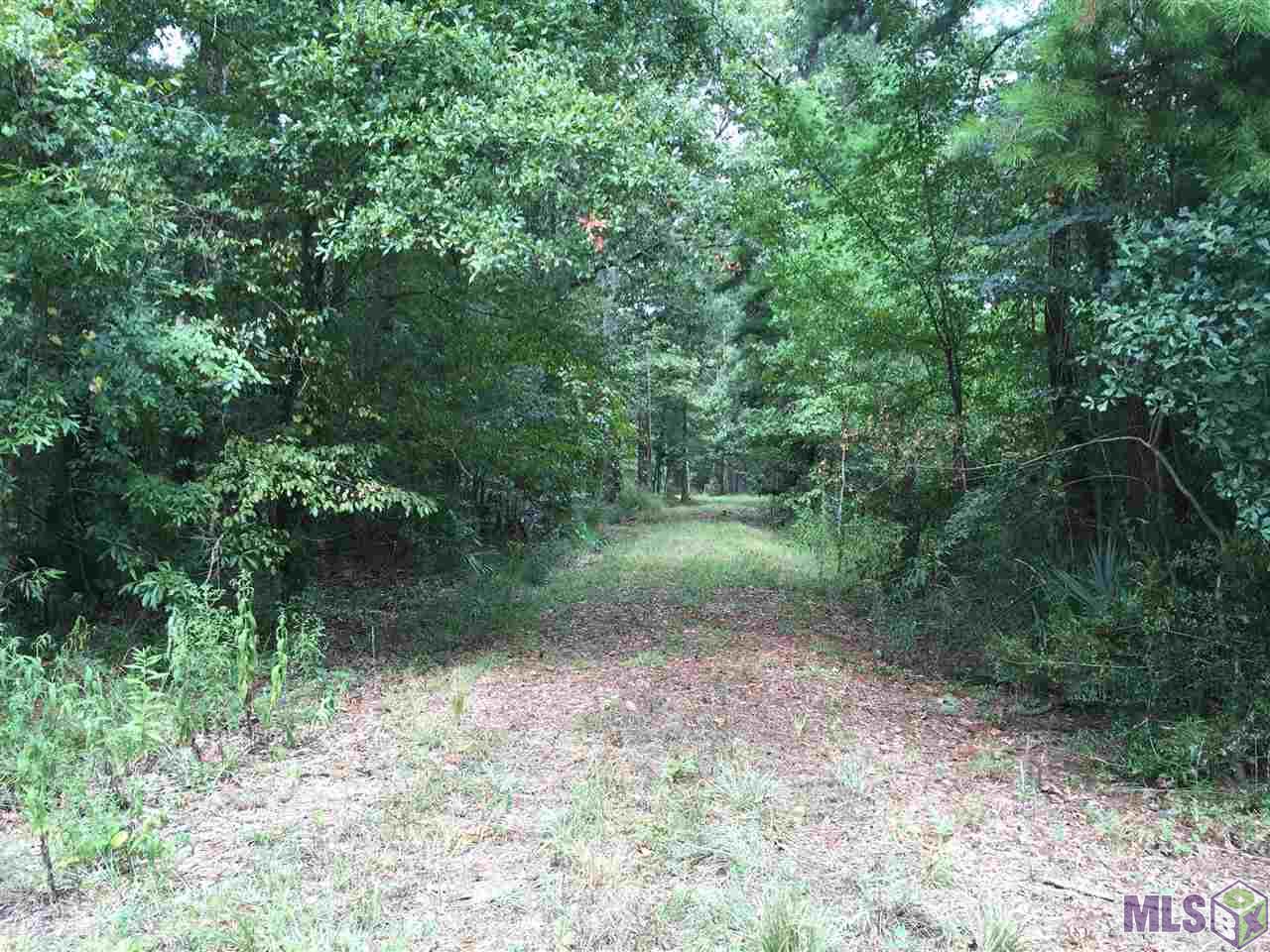 32187-32147 Lower Rome Road Springfield, LA 70462 - Photo 1 of 12