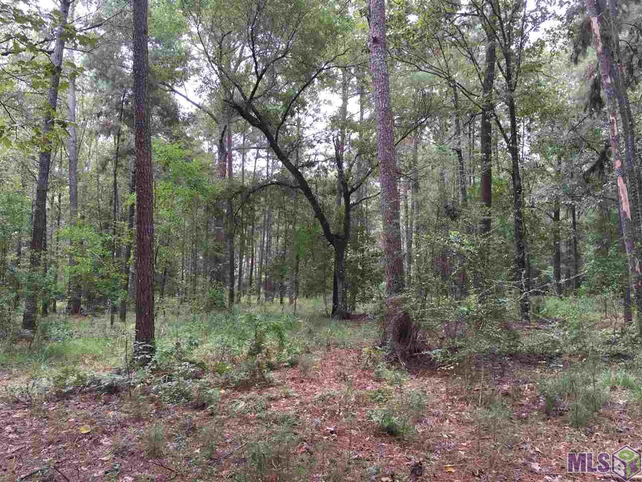 32187-32147 Lower Rome Road Springfield, LA 70462 - Photo 11 of 12