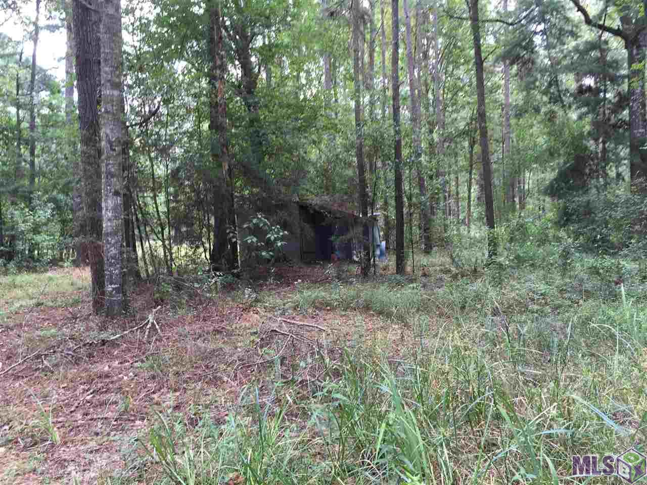32187-32147 Lower Rome Road Springfield, LA 70462 - Photo 12 of 12