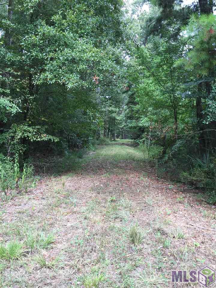 32187-32147 Lower Rome Road Springfield, LA 70462 - Photo 2 of 12