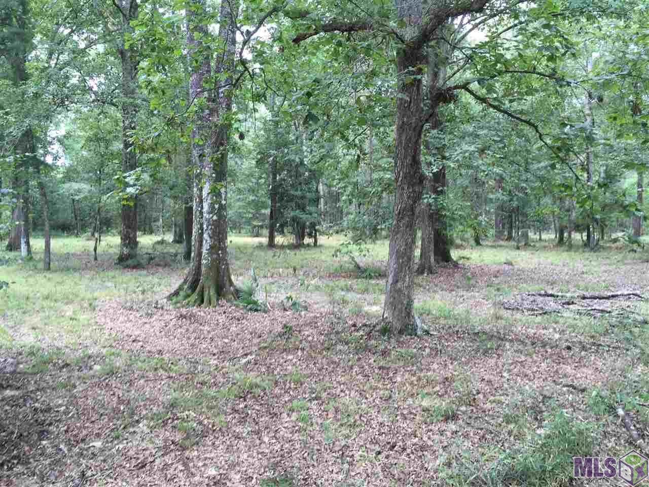 32187-32147 Lower Rome Road Springfield, LA 70462 - Photo 3 of 12