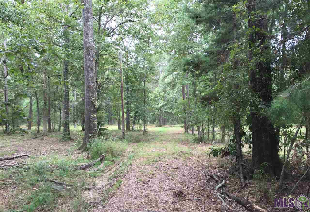 32187-32147 Lower Rome Road Springfield, LA 70462 - Photo 4 of 12