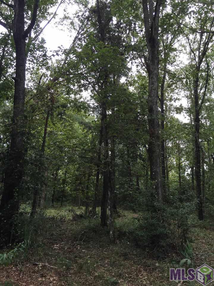 32187-32147 Lower Rome Road Springfield, LA 70462 - Photo 5 of 12