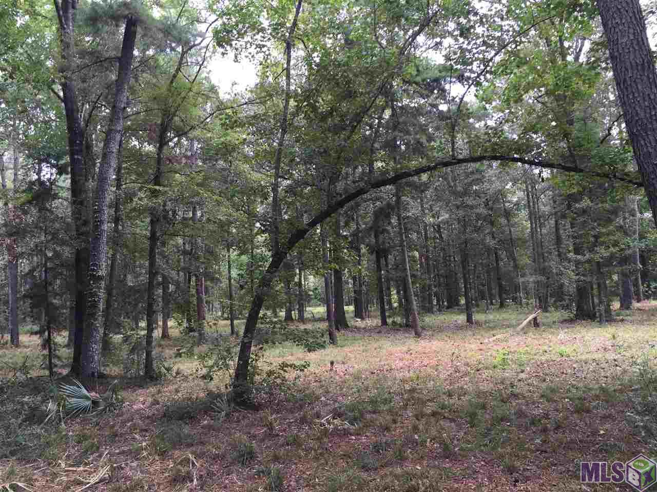 32187-32147 Lower Rome Road Springfield, LA 70462 - Photo 6 of 12