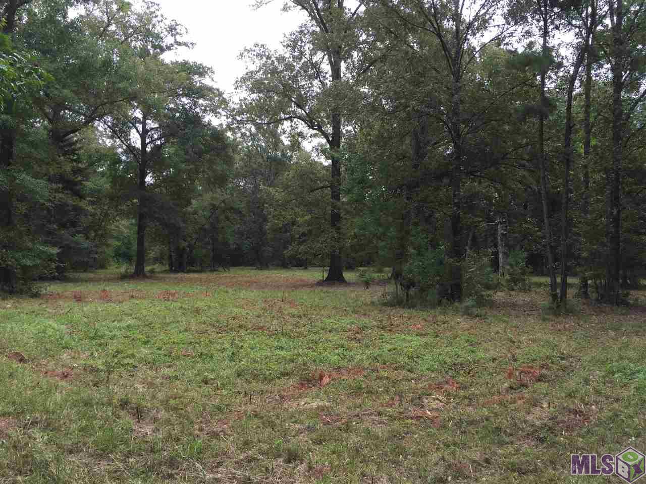 32187-32147 Lower Rome Road Springfield, LA 70462 - Photo 7 of 12