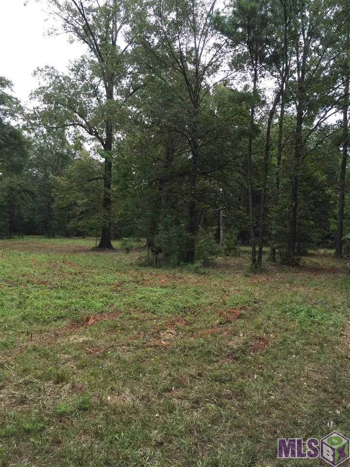 32187-32147 Lower Rome Road Springfield, LA 70462 - Photo 8 of 12