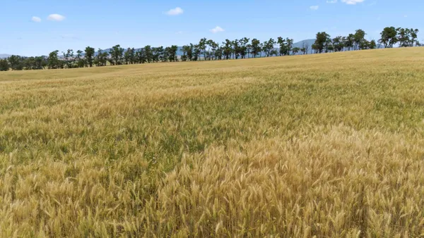 $765,000 | 0 East Toll Road, Rockford, WA 99030