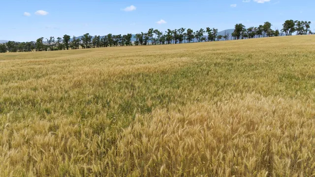 $765,000 | 0 East Toll Road, Rockford, WA 99030