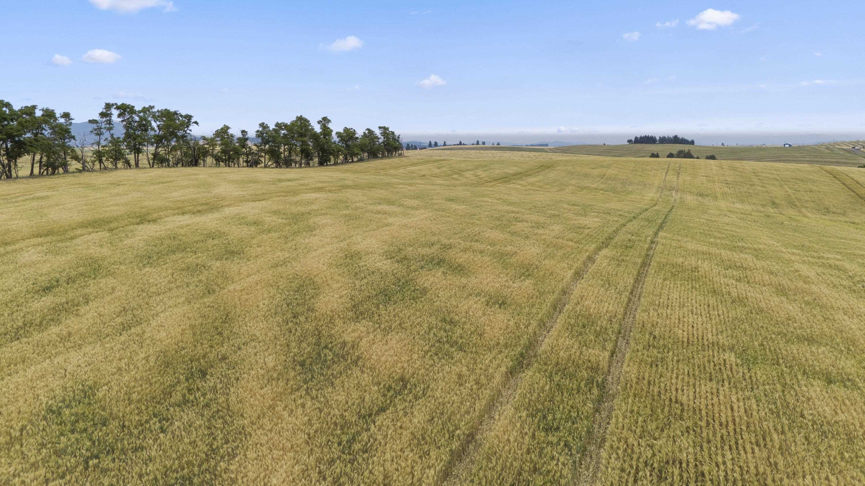 0 East Toll Road Rockford, WA 99030 - Photo 13 of 23