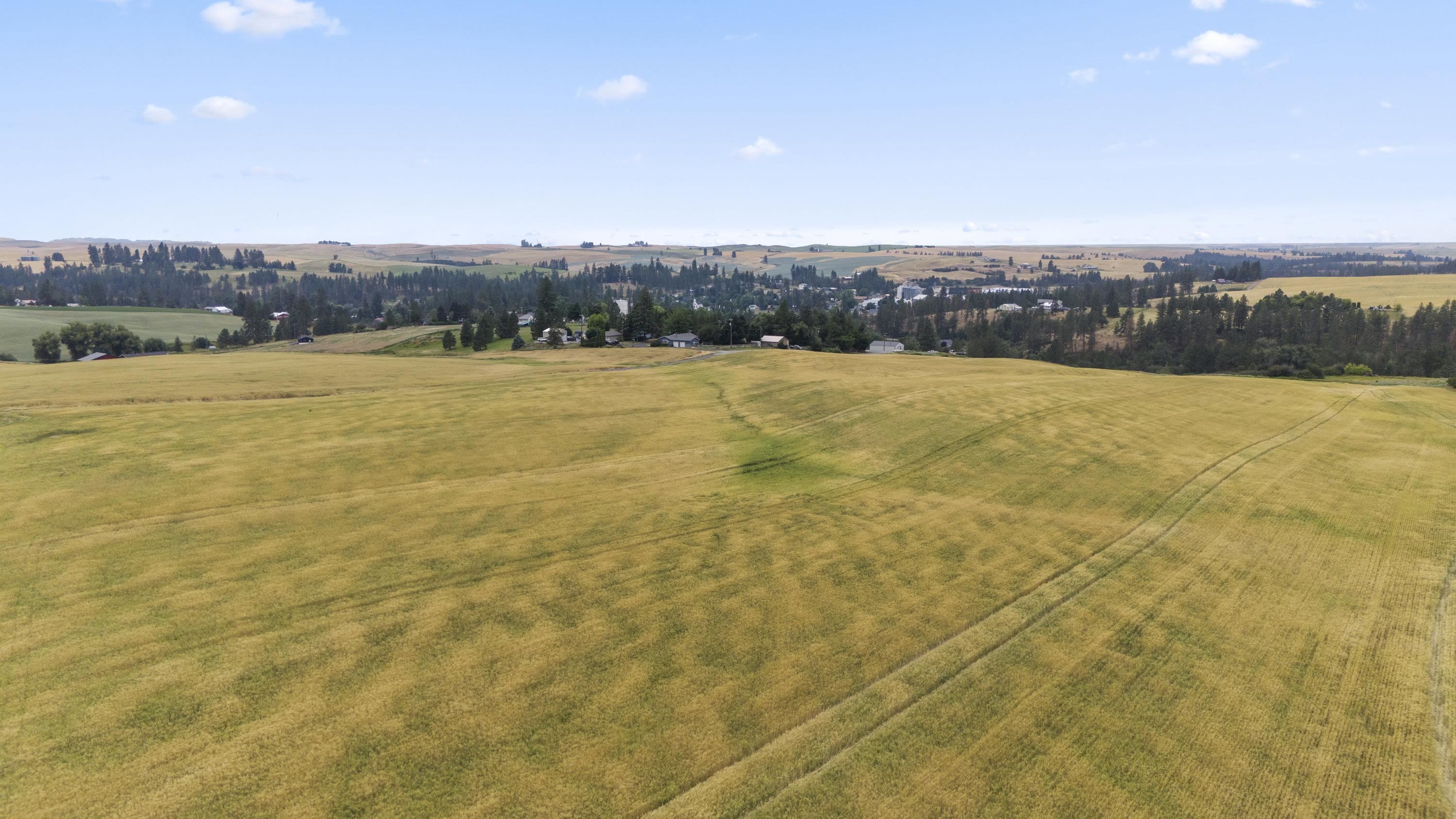 0 East Toll Road Rockford, WA 99030 - Photo 16 of 23