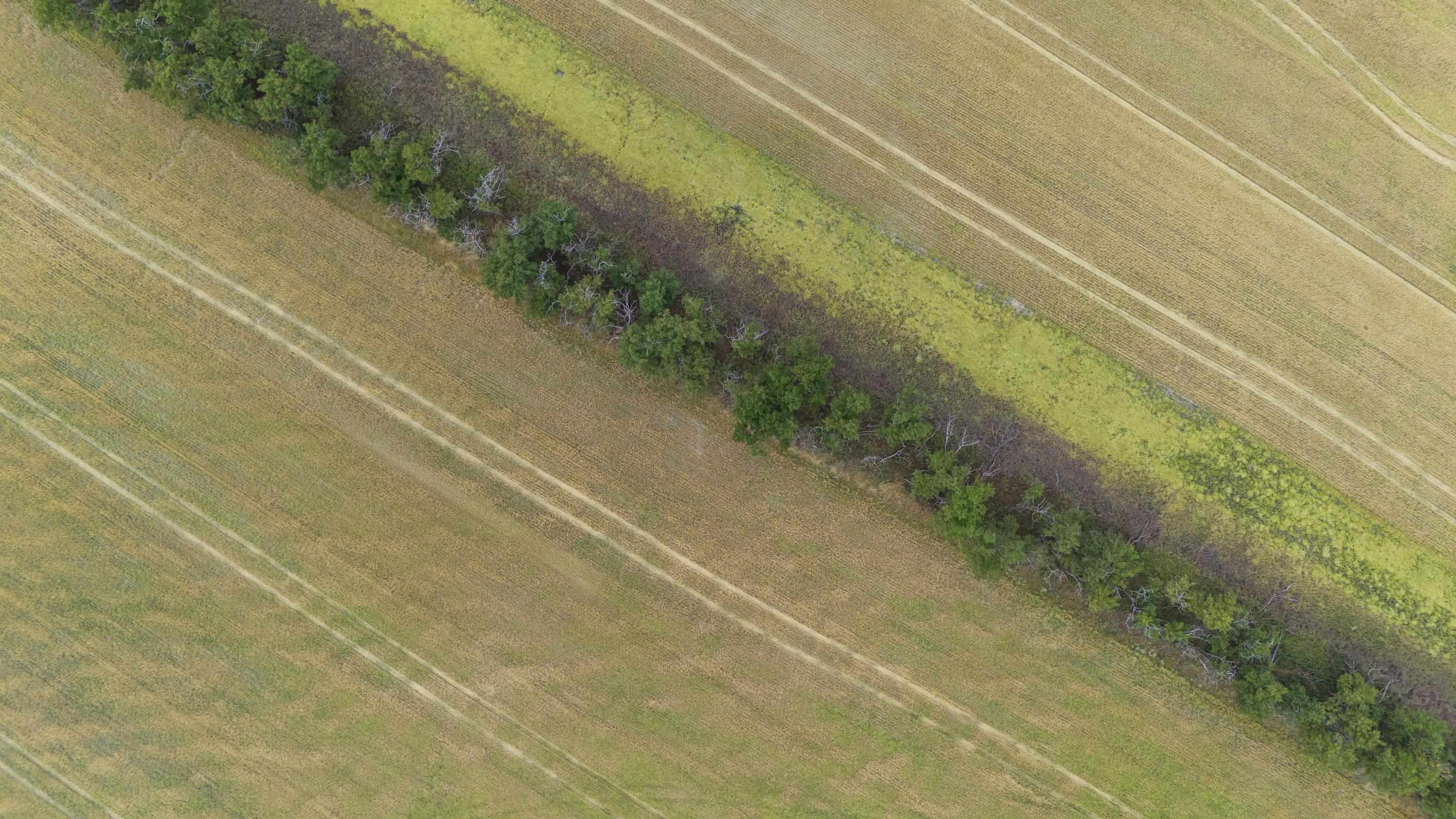 0 East Toll Road Rockford, WA 99030 - Photo 17 of 23