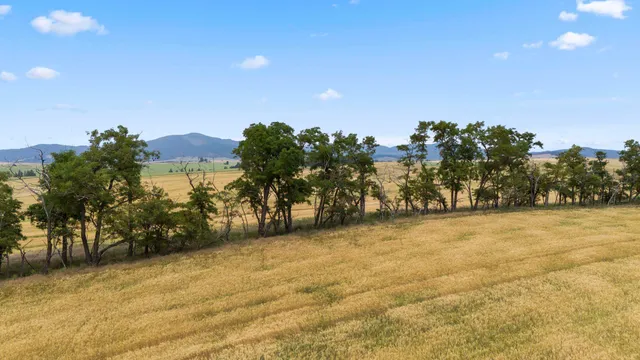 $765,000 | 0 East Toll Road, Rockford, WA 99030