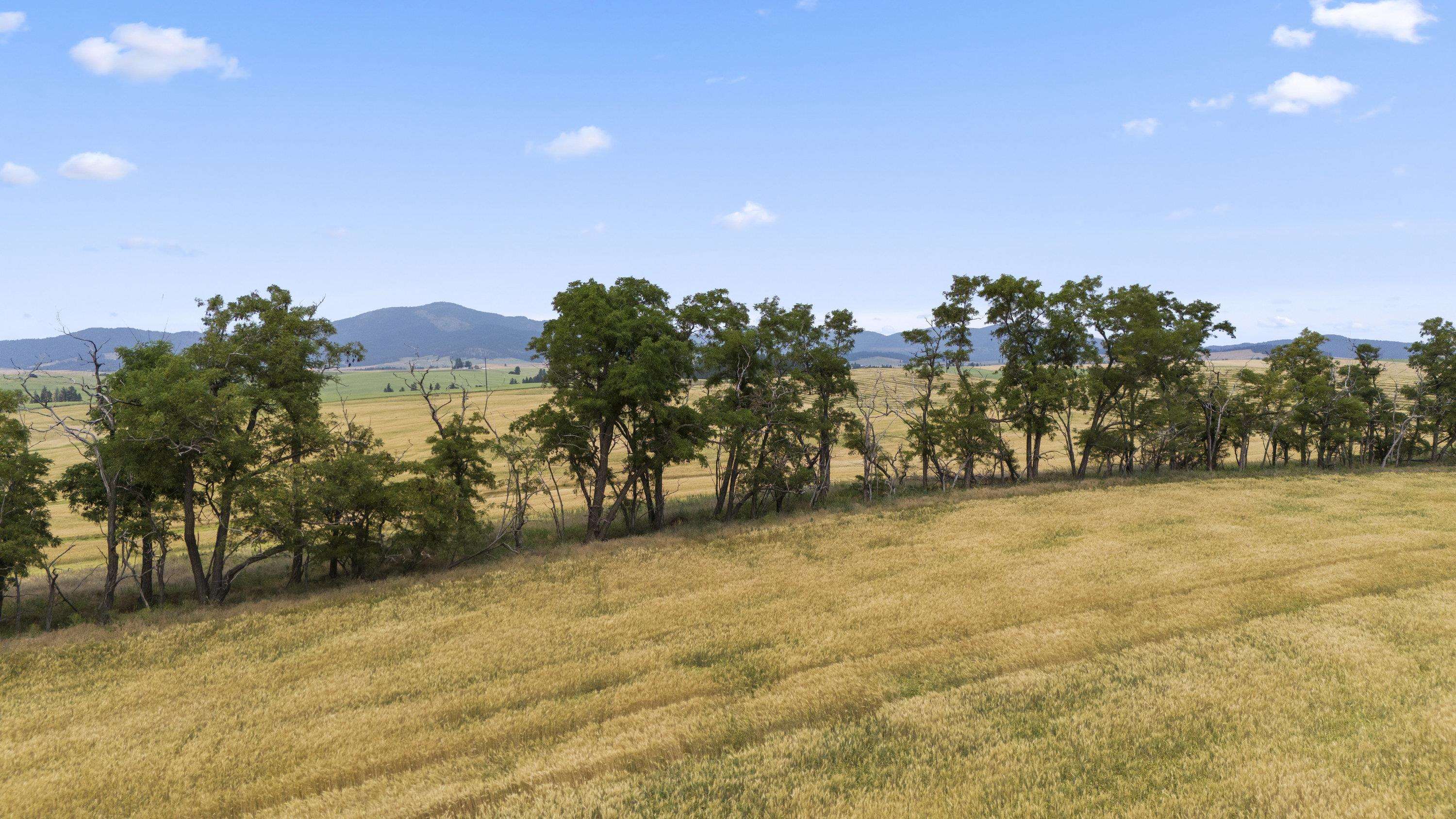 0 East Toll Road Rockford, WA 99030 - Photo 18 of 23