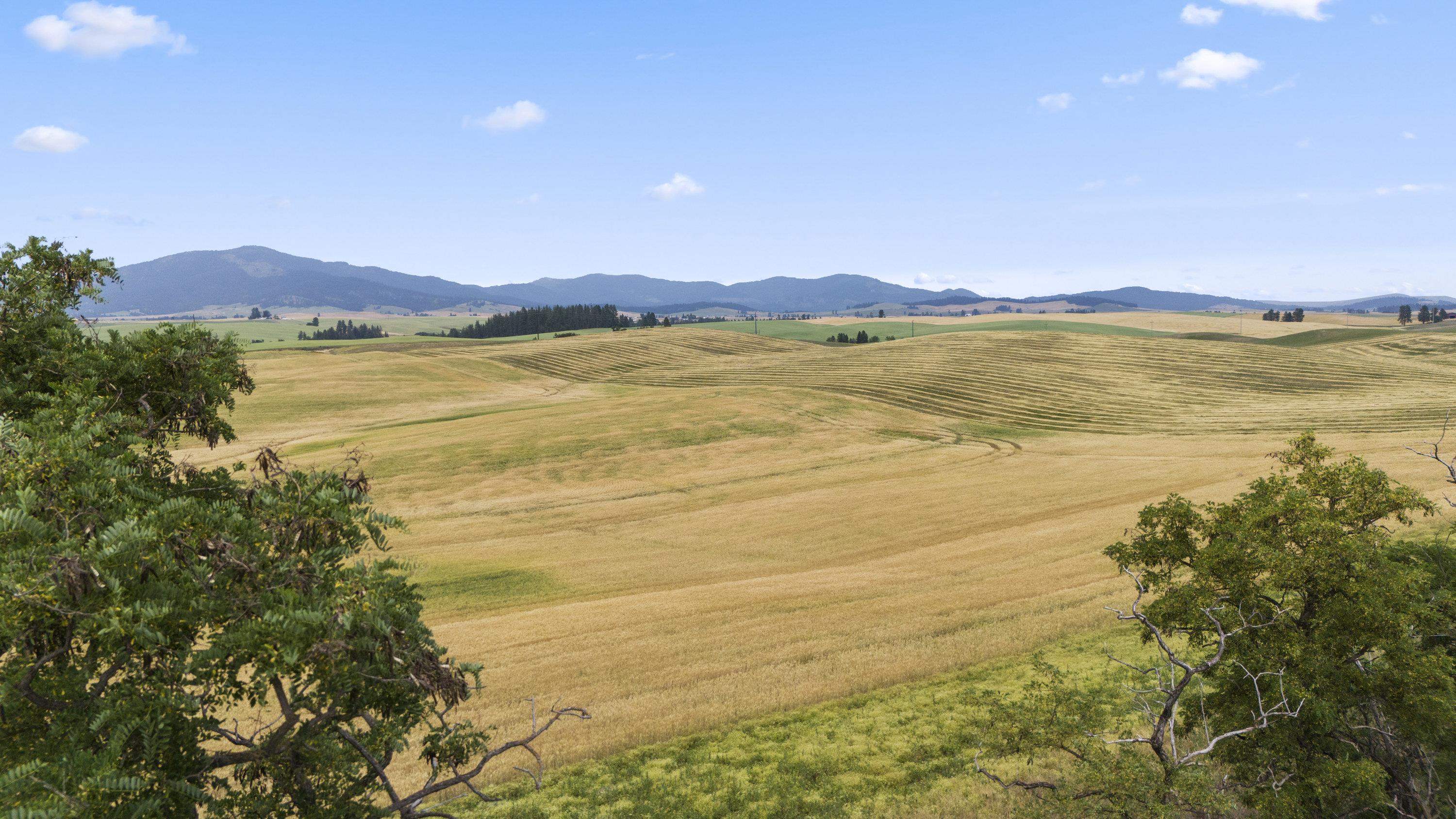 0 East Toll Road Rockford, WA 99030 - Photo 19 of 23