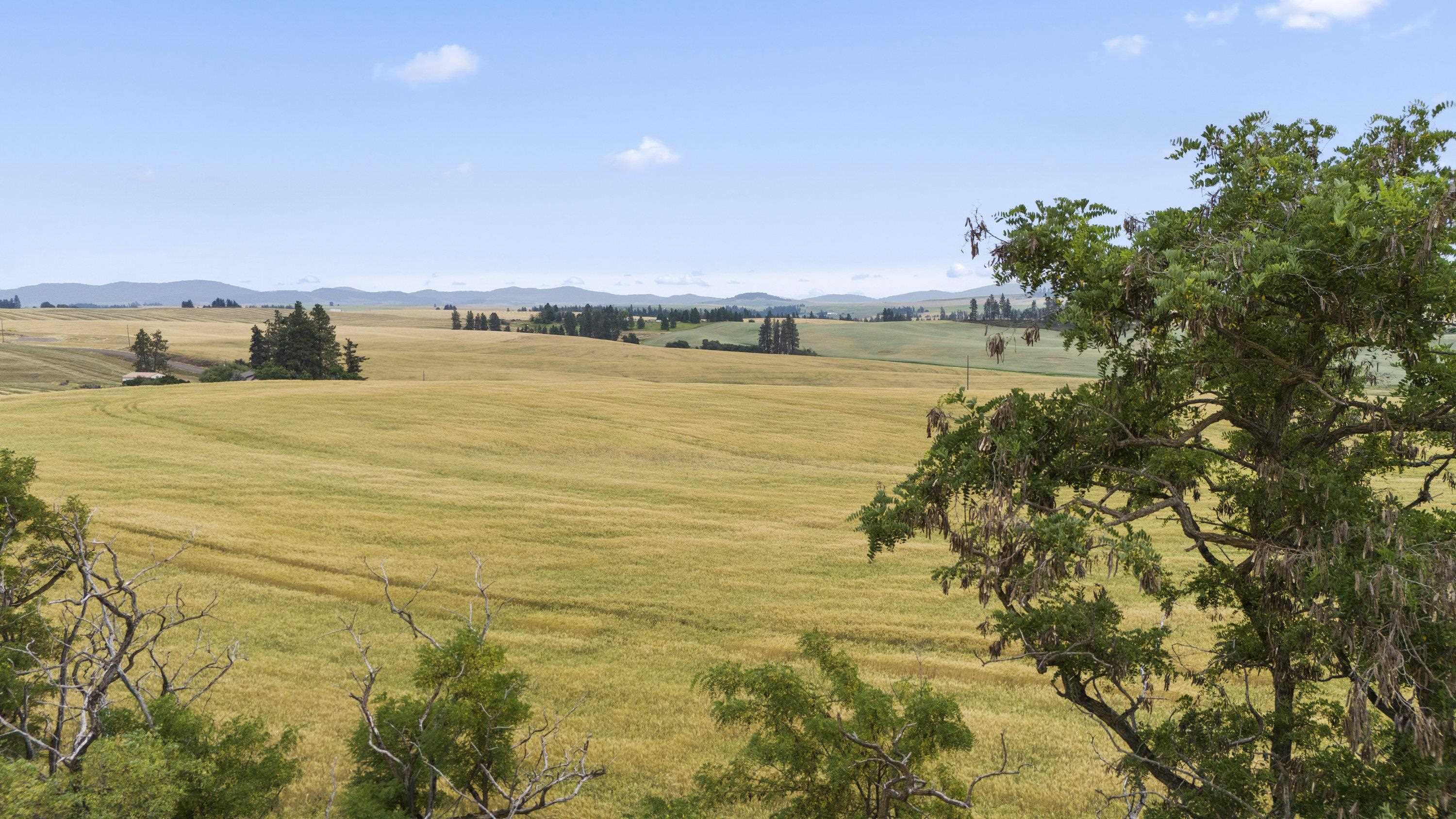 0 East Toll Road Rockford, WA 99030 - Photo 21 of 23