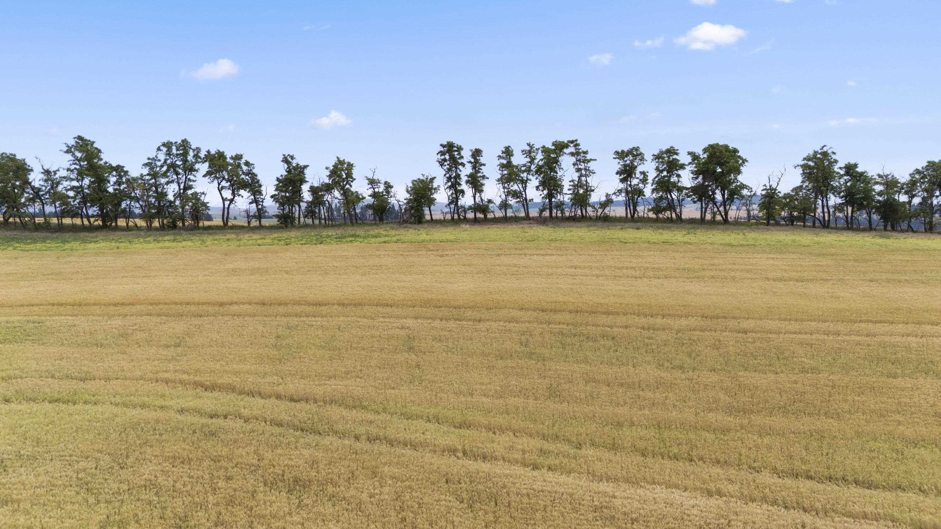 0 East Toll Road Rockford, WA 99030 - Photo 22 of 23