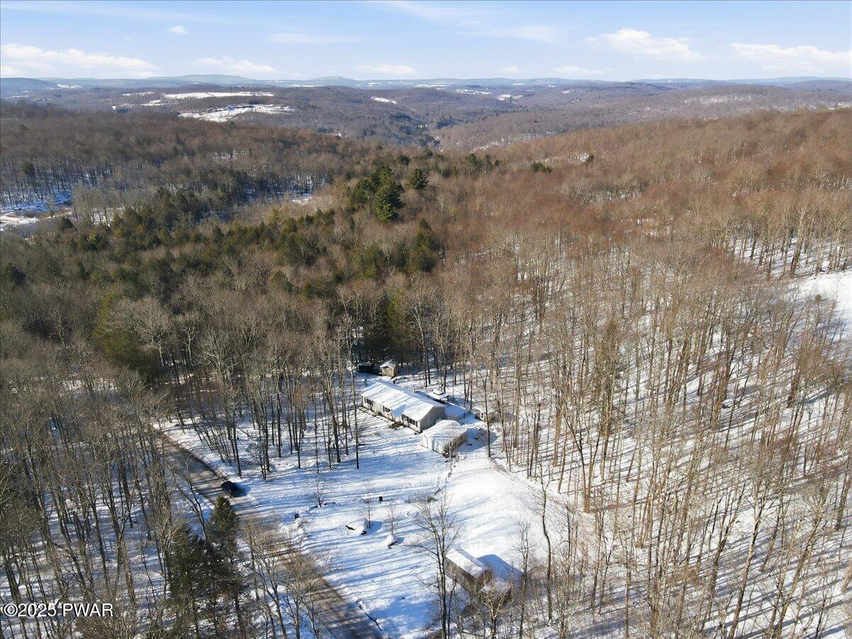374 Fork Mountain Road Equinunk, PA 18417 - Photo 69 of 72 Drone