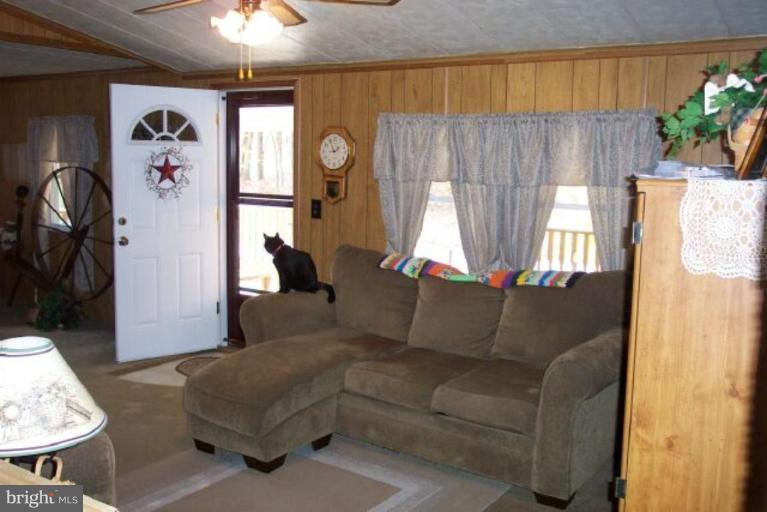 14825 Rice Road Hancock, MD 21750 - Photo 9 of 20 a living room with furniture and a potted plant
