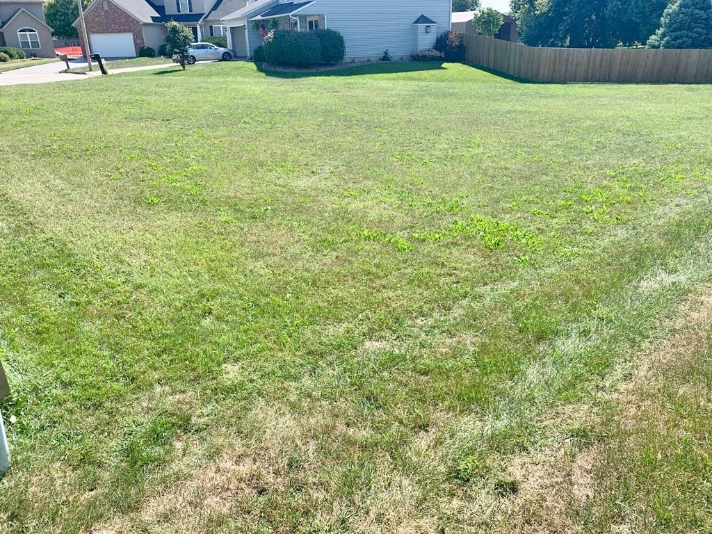 1707 Setter Street Normal, IL 61761 - Photo 5 of 8 a view of an ocean from a yard