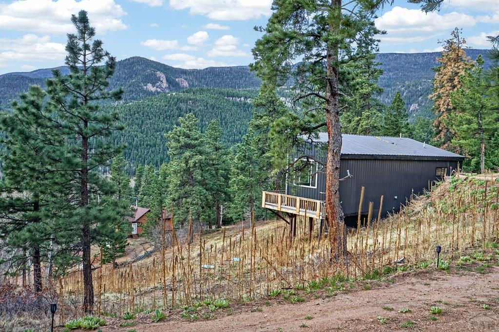 161 North Highland Circle Rye, CO 81069 - Photo 7 of 36