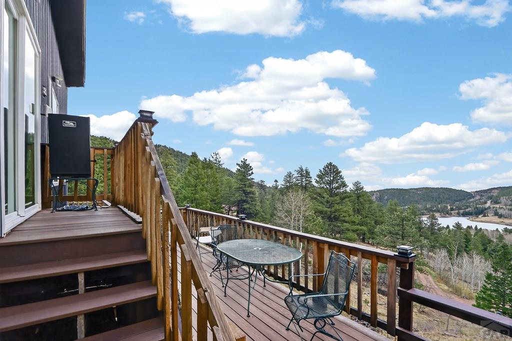 161 North Highland Circle Rye, CO 81069 - Photo 8 of 36