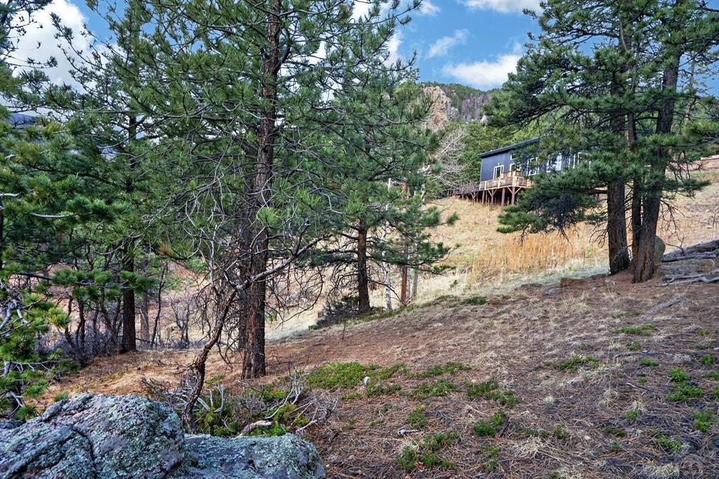 161 North Highland Circle Rye, CO 81069 - Photo 9 of 36