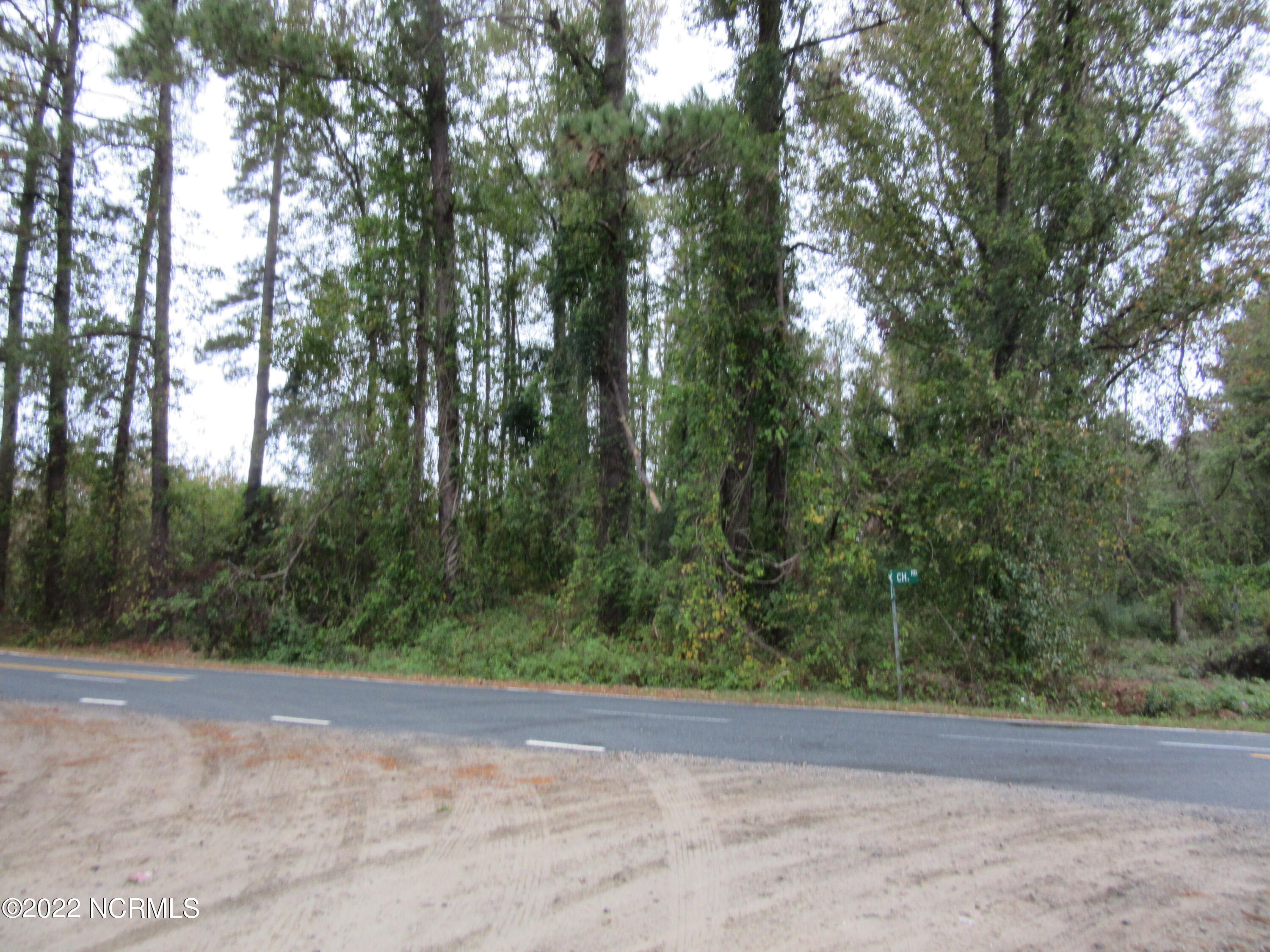 0 Church Road St. Pauls, NC 28384 - Photo 2 of 3 IMG_5743