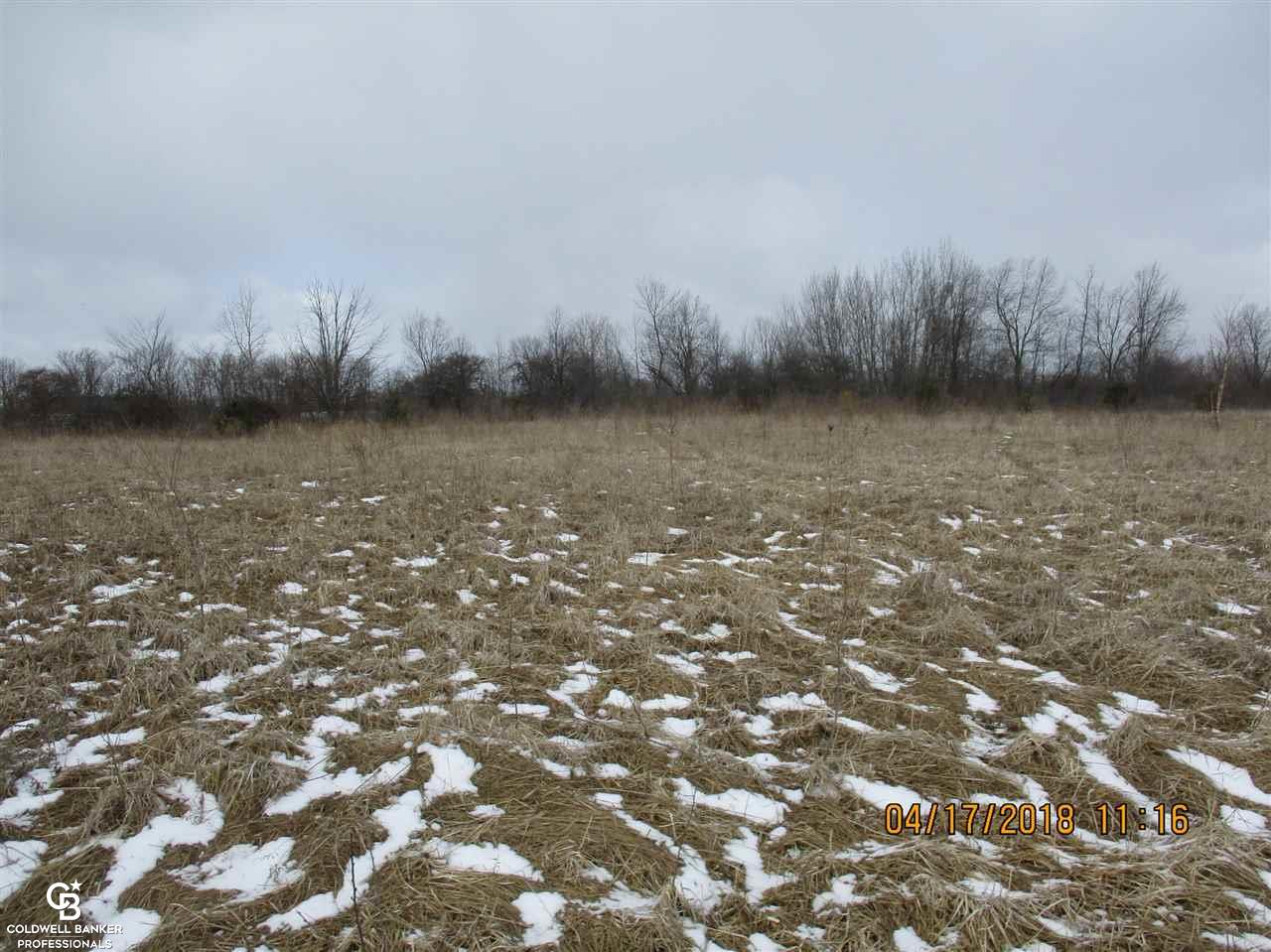 0 Arendt Road Yale, MI 48097 - Photo 3 of 11