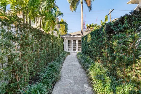 a view of a pathway with plants and large trees