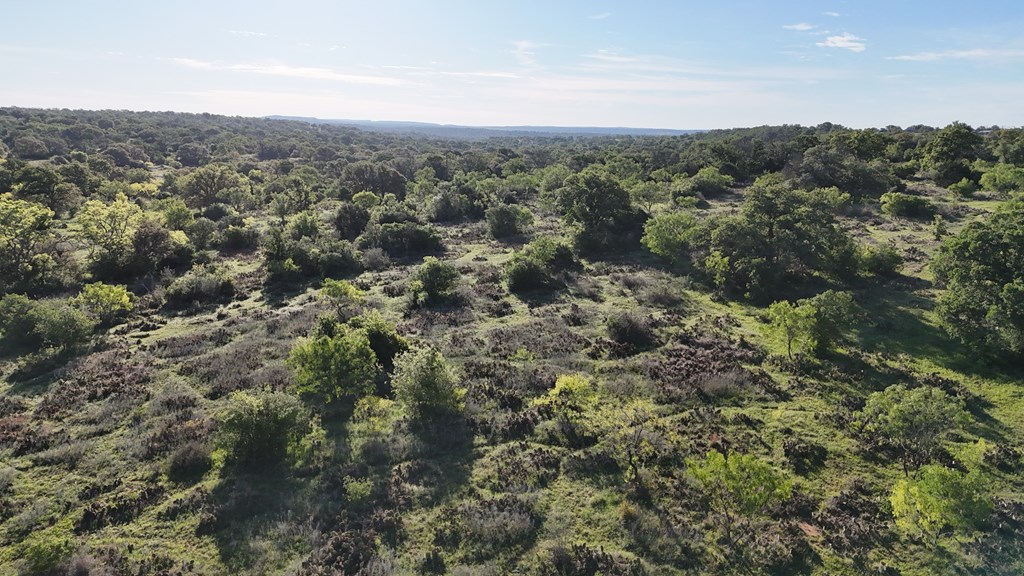 Tbd Tbd Madden Ranch Road Valley Spring, TX 76885 - Photo 30 of 46 Gallery Image 30
