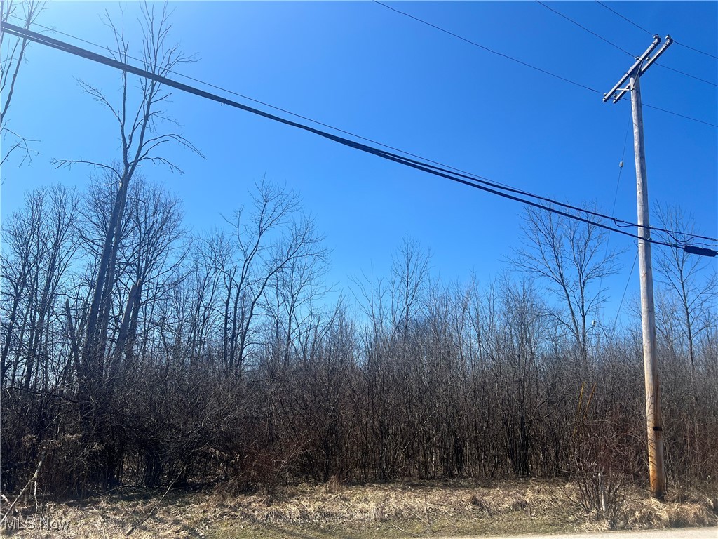681-682 Rome Rock Creek Road Rock Creek, OH 44084 - Photo 3 of 3 lot is 160'x210'