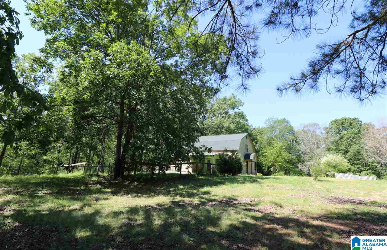 144 Rodeo Drive Pell City, AL 35128 - Photo 19 of 27