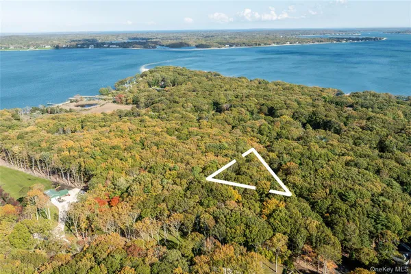 a view of a lake with a mountain in the background