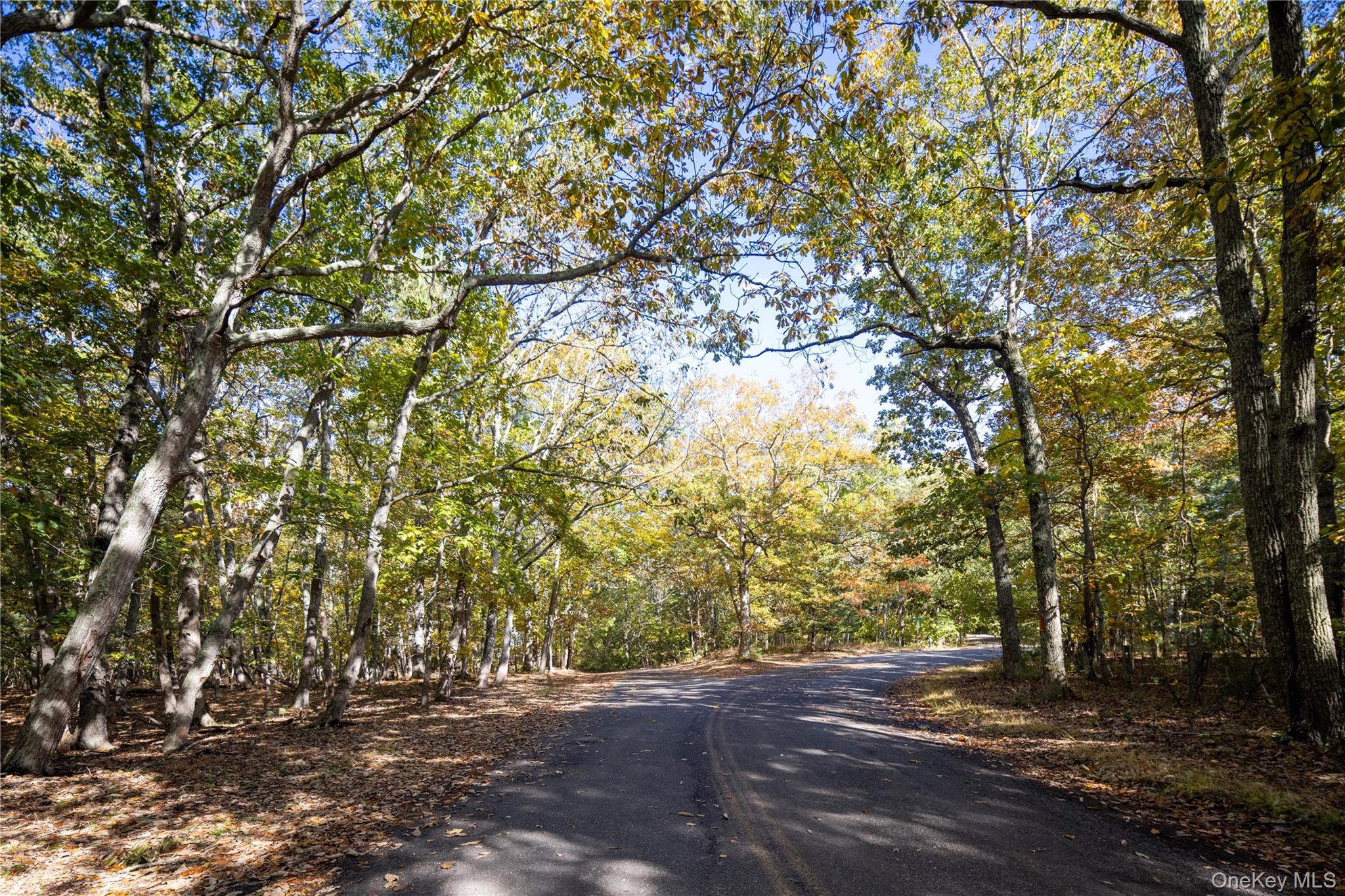 11195 North Bayview Road Southold, NY 11971 - Photo 6 of 7 a view of a yard with a tree