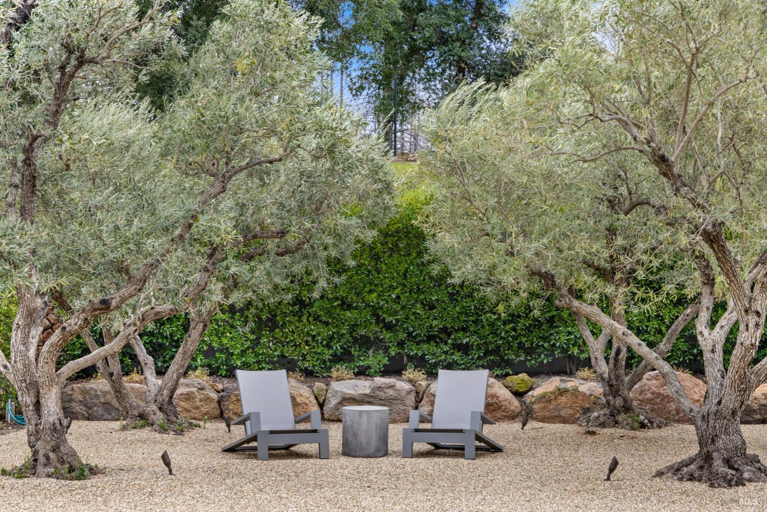 860 Meadowood Lane St. Helena, CA 94574 - Photo 86 of 91