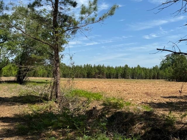 1371 Justice Loop Loris, SC 29569 - Photo 1 of 3 Gallery Image 1