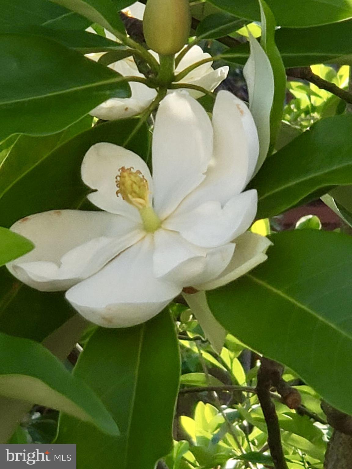 20613 Glenmere Square Sterling, VA 20165 - Photo 41 of 51