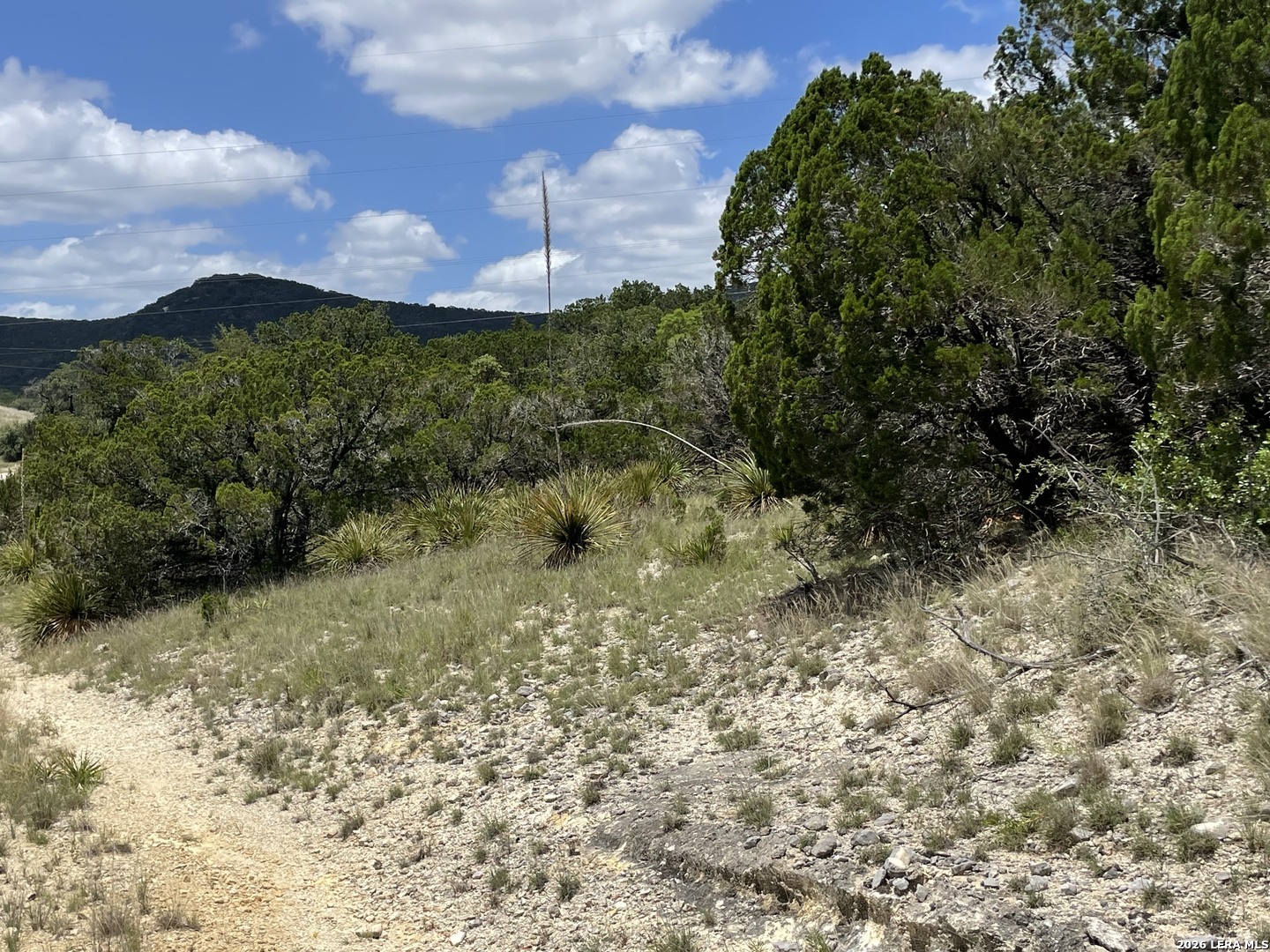 Lot 44 Walker Ridge Tarpley, TX 78003 - Photo 12 of 20