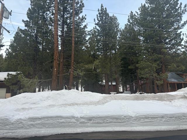 63 Snowcrest Avenue Mammoth Lakes, CA 93546 - Photo 2 of 6 View of yard covered in snow