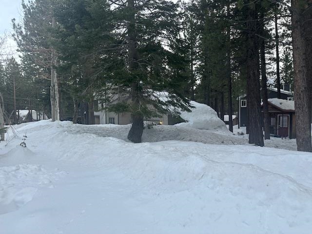 63 Snowcrest Avenue Mammoth Lakes, CA 93546 - Photo 5 of 6 View of snowy yard