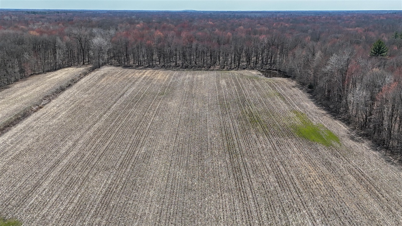 V/l Busch Road Birch Run, MI 48415 - Photo 5 of 20