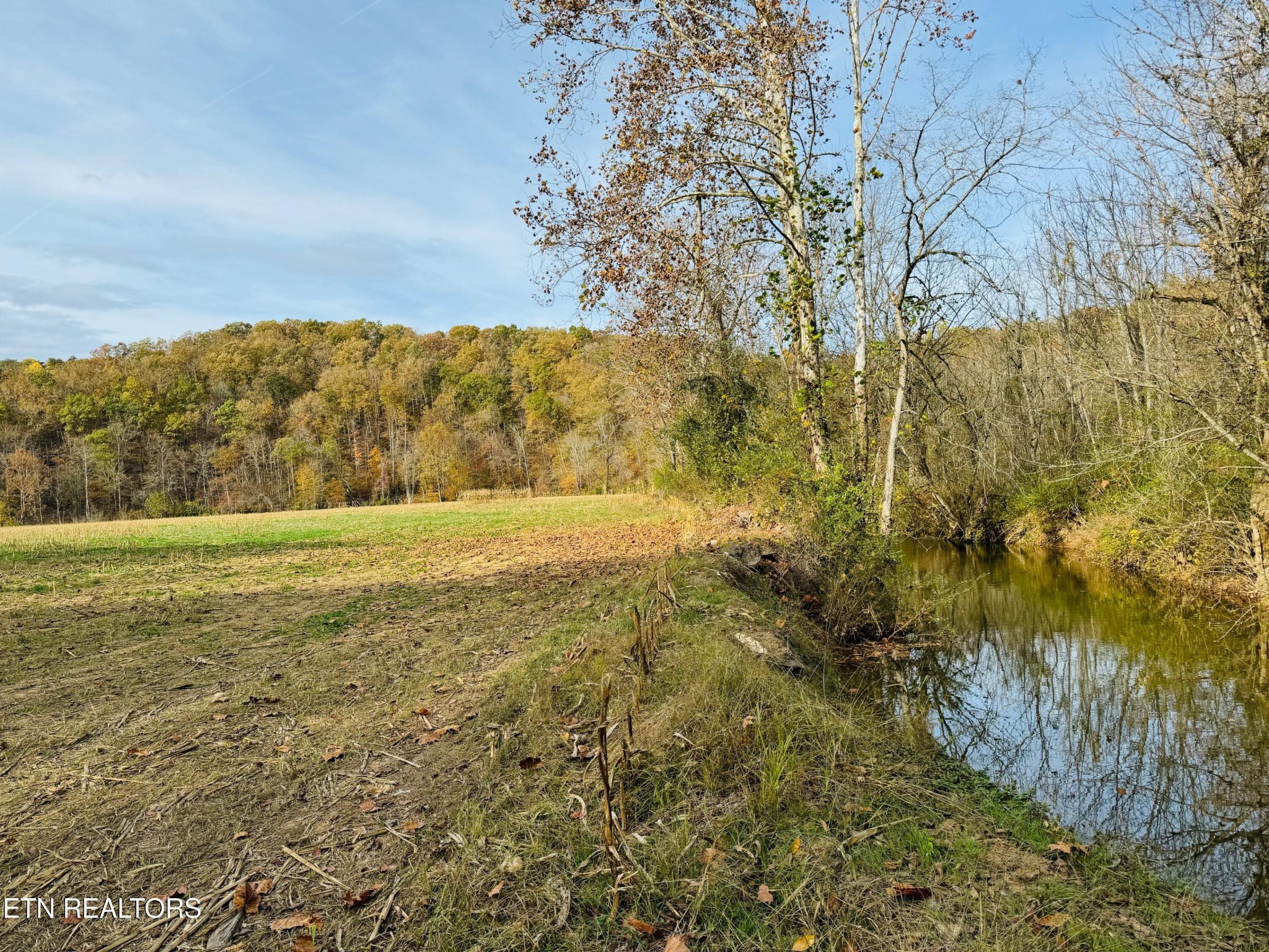 0 Clear Creek Road Newport, TN 37821 - Photo 1 of 19