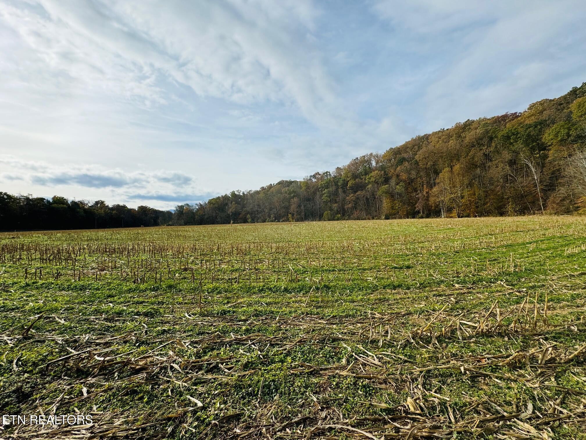 0 Clear Creek Road Newport, TN 37821 - Photo 11 of 19