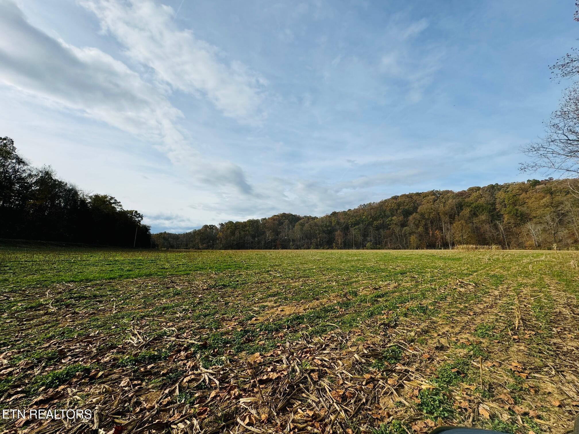 0 Clear Creek Road Newport, TN 37821 - Photo 14 of 19