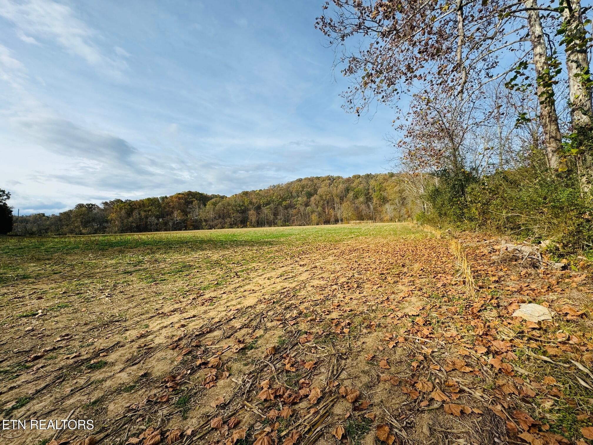 0 Clear Creek Road Newport, TN 37821 - Photo 15 of 19