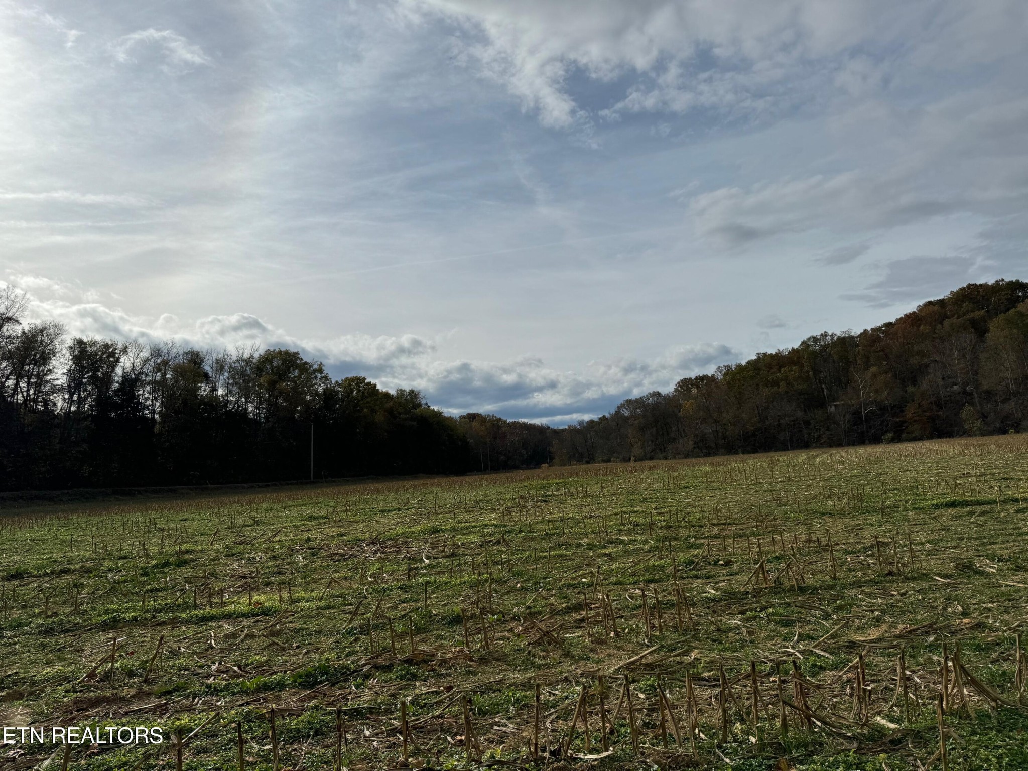 0 Clear Creek Road Newport, TN 37821 - Photo 16 of 19