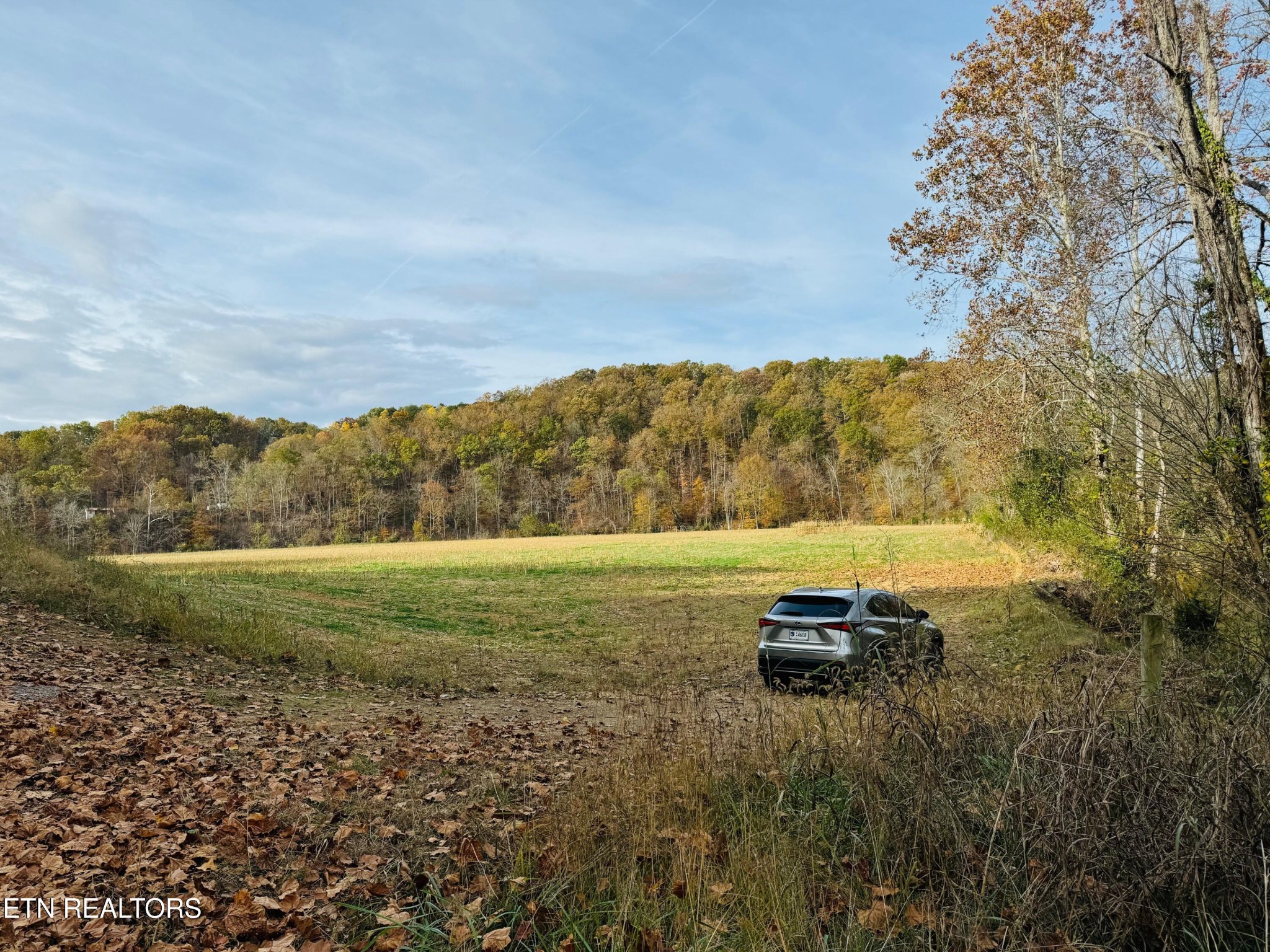 0 Clear Creek Road Newport, TN 37821 - Photo 18 of 19