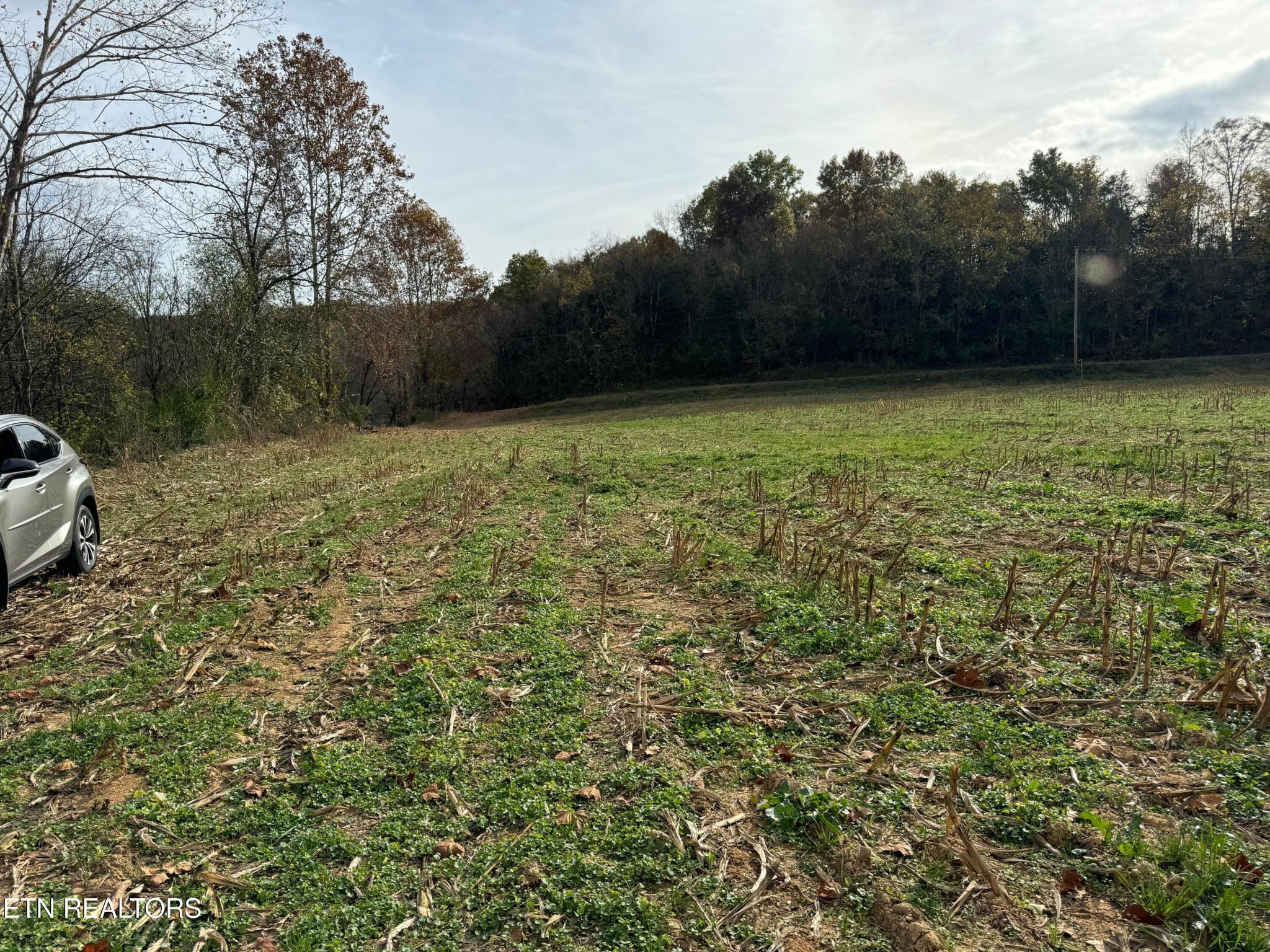 0 Clear Creek Road Newport, TN 37821 - Photo 19 of 19